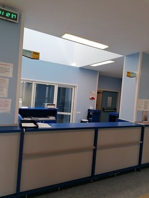 p12.jpg