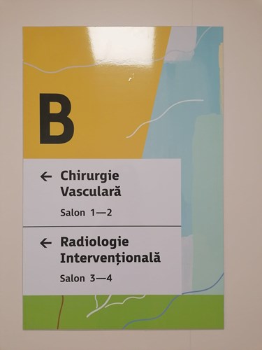 175689616_374348480420991_6606853579418108016_n.jpg